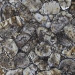 Агат Атена (Agate Athena) Бежевий