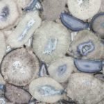 Агат Лілак (Agate Lilac) Білий - Зображення 3