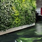 Кварцит Авокатус (Avocatus) Зелений