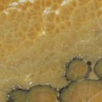 Онікс Терракота (Onice Terracota) Жовтий - Зображення 2